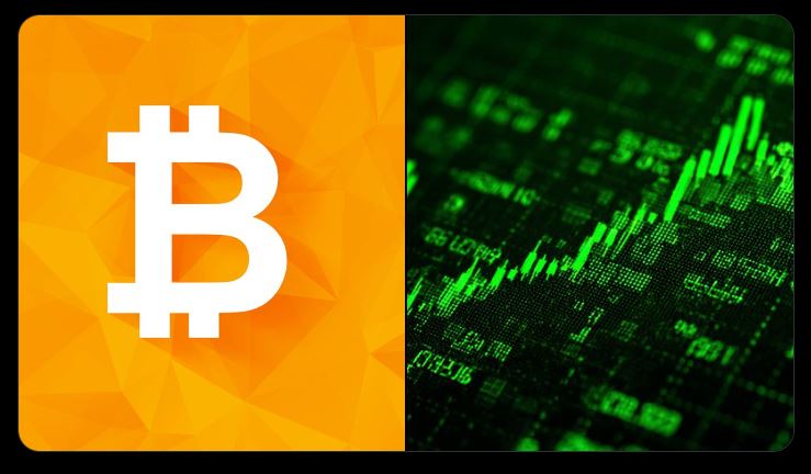 bitwise predicts rally in 2026